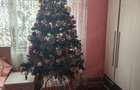 Apartament 2Camere Micro 16 Brandusa. - 6