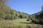 Vand teren extravilan Tarcau Punct Radu, 4.492 mp | Teren drept + padure