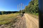 Teren extravilan Firiza Maramures , zona Vidra ,1 ha ideal cabana , - 2