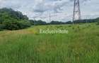 Teren extravilan Pitesti - str. Balotesi!! - Pitesti (Arges) - 10
