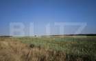 Teren 30.350 mp (600 mp intravilan) ideal investi?ie, C - 1