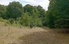 Teren de 3500 mp, în Valea Babei - 7