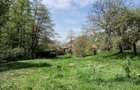 Casa la munte cu parau in curte,in localitatea Nojag.la 18 km.de DEVA - 5