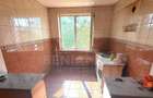 3 camere - 61mp - teava de gaze - investitie - Botanica - SweetEscape - 1