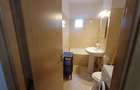 De inchiriat Apartament cu 1 camera Zona ?agului - 9