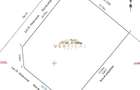 Teren intravilan 430 mp | Direct la asfalt | Str. Codrului, Berceni - 2