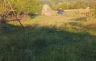 Casă cu 4 camere cu Teren 1000 Mp în Poienari (Poienarii de Argeș) - 7