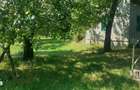 Casa cu 2 camere, teren 3000 mp, padure - 19