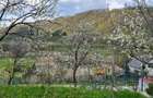 Vand teren intravilan - 3