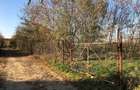 Teren intravilan de vanzare | 12.650 mp | Ghirdoveni | Comision 0%