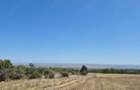 Vand teren extravilan 3 ha Livada Mare, Comuna Grebanu, jud Buzau - 5