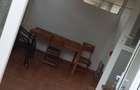 Studio cu gradina si terasa - 3
