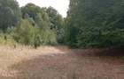 Teren de 3500 mp, în Valea Babei - 8