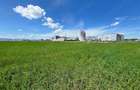 Teren extravilan 21.900 mp Parcul Industrial Reiff, Campia Turzii - 7