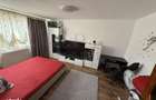 Apartament 1 camera-Buziasului - 3