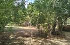 Teren 4975 mp situat in intravilanul satului Belciug, Dragan - 14