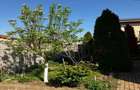Apartament 3 camere - Braytim - 8