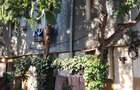 De vanzare apartament 2 camere, confort 3 - 6