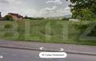 Teren intravilan de vanzare, Calea Feldioarei 10.000mp - 1