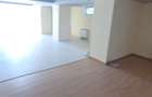 VAND/INCHIRIEZ SPATIU COMERCIAL D+P ULTRACENTRAL - 19
