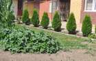 Vind casa serbanesti suceava - 6