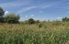 Vand teren Stefanesti, Arges, parcelabil, strada sticlelor, 18600mp