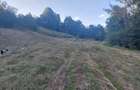 Vand teren extravilan in suprafata de 5976 mp situat in loc. Popesti, sat Curtea, jud. Valcea