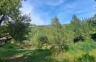 Teren si constructii situate in intravilan 7.780 mp, comuna Bertea, sat Lutu Rosu, Prahova - 7