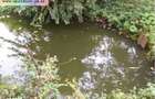 Teren de vanzare - Baicoi(Central),toate utilitatile