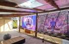 Casa, constructie, earthship. Cabana. - 13
