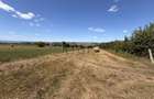 Teren 2.900 mp - 900 mp intravilan Jucu de Sus Panorama Investitie - 7