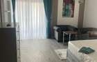 Apartament cu 1 camera FREYA HOME - 1