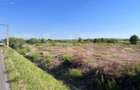 Teren intravilan, 2559 mp, zona Sitoaia - 2