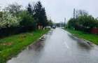 Teren intravilan 2.500 mp + 5.200 mp extravilan | Letca Veche | 27.000