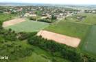 Teren intravilan 2.935 mp in Viile Satu Mare | Aproape de padure - 3
