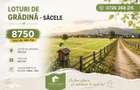 Loturi de gradina 400 mp - Sacele