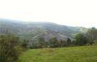 Vand teren intravilan 1,4 ha, Mehadia, Caras-Severin - 6