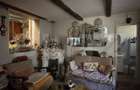 Casa P+M, 777 mp teren, Breasta - 8