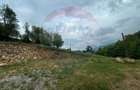 Teren 2,000mp Copalnic-Manastur / Strada Principala - 9