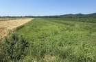 Teren intravilan+extravilan 2540Mp de vanzare zona Mihaesti