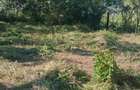 Casa cu teren de 1.470 mp de vanzare Fantanele, S... - 7
