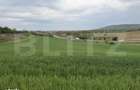 Teren intravilan, in localitatea Bobota in suprafata de 12.500 mp - 5