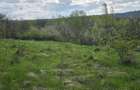 Teren cu vedere panoramica de vanzare in Chinteni - 3