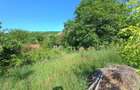 Vila din Gradina Racoti / Conac 5 camere / 6000m2 - 3