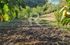 Casă renovata cu teren generos | Anexe | Gurasada | Hunedoara