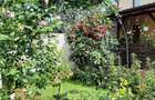 VANZARE CASA CHIAJNA ILFOV - 1