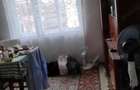 De vanzare casa individuala in Gruia zona Hotel ARY - 6