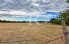 Casa demolabila | Teren 2800 mp | Avram Iancu | Bihor - 2