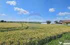 Teren 15,000mp Salcea-Prelipca, Suceava - Prelipca (Suceava)