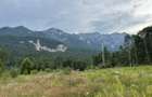 Teren intravilan, 1000 mp, proiect duplex P+E, zona Sinaia - Zamora - 4